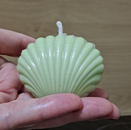 Vela aromática pequeña de citronela con forma de concha marina