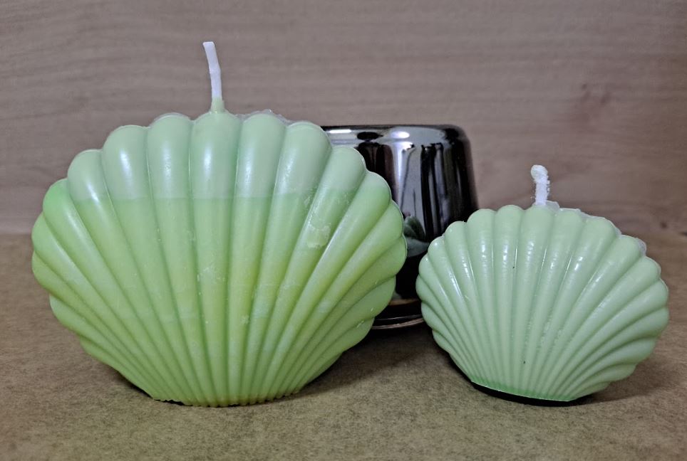 Velas aromáticas de citronela con forma de concha marina (grande y pequeña)