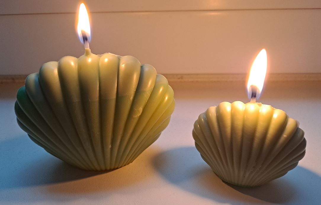 Velas aromáticas de citronela con forma de concha marina encendidas