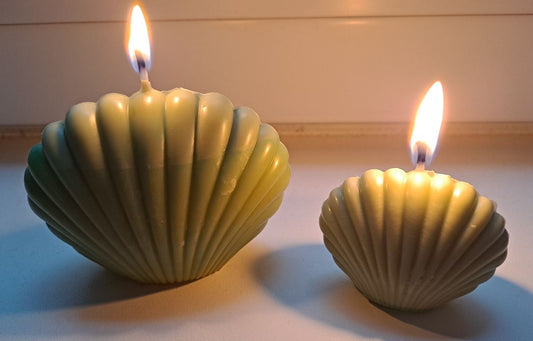 Velas aromáticas de citronela con forma de concha marina encendidas